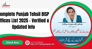 Complete Punjab Tehsil BISP Offices List 2025 – Verified & Updated Info