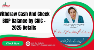 BISP balance check