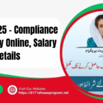 BISP Jobs 2025 Compliance Monitor Vacancies