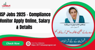 BISP Jobs 2025 Compliance Monitor Vacancies