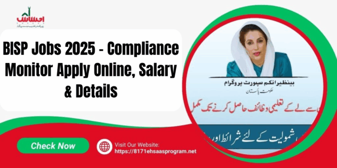 BISP Jobs 2025 Compliance Monitor Vacancies