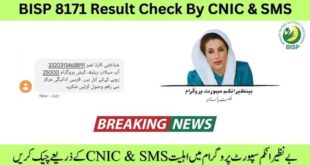 BISP 25000 Online Check with CNIC 2025