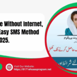 How to check PMT score via SMS using CNIC - 8171 Ehsaas Program