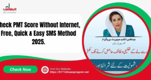 How to check PMT score via SMS using CNIC - 8171 Ehsaas Program