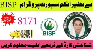 8171 check online CNIC portal for BISP eligibility 2025