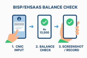 Infographic showing step-by-step process for checking BISP/Ehsaas balance by CNIC: input CNIC, check balance Rs 13,500, save screenshot