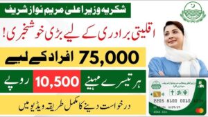 Minority Card Scheme 2025 official card for financial assistance to minority families in Punjab