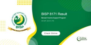 BISP 8171 Result Check Online by CNIC